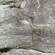 A piece of fossilized wood with a Neolithic carving